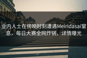 业内人士在傍晚时刻遭遇Meiridasai窒息，每日大赛全网炸锅，详情曝光