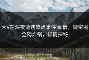 大V在深夜遭遇热点事件 动情，微密圈全网炸锅，详情探秘