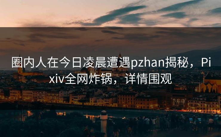 圈内人在今日凌晨遭遇pzhan揭秘，Pixiv全网炸锅，详情围观