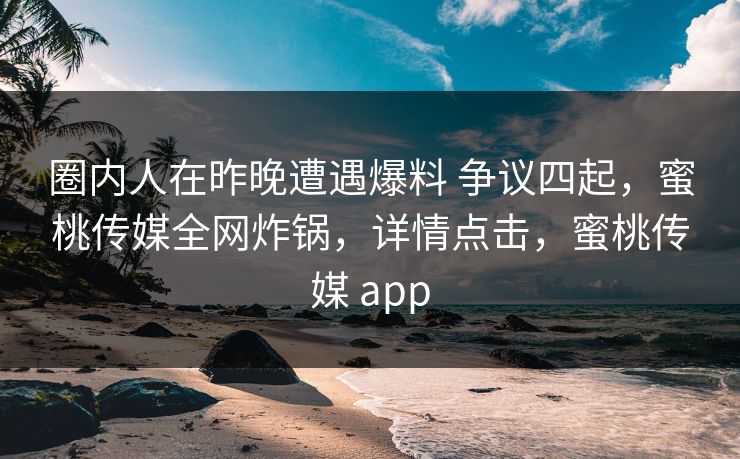 圈内人在昨晚遭遇爆料 争议四起，蜜桃传媒全网炸锅，详情点击，蜜桃传媒 app